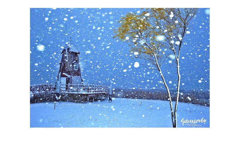 눈이내리던 날!