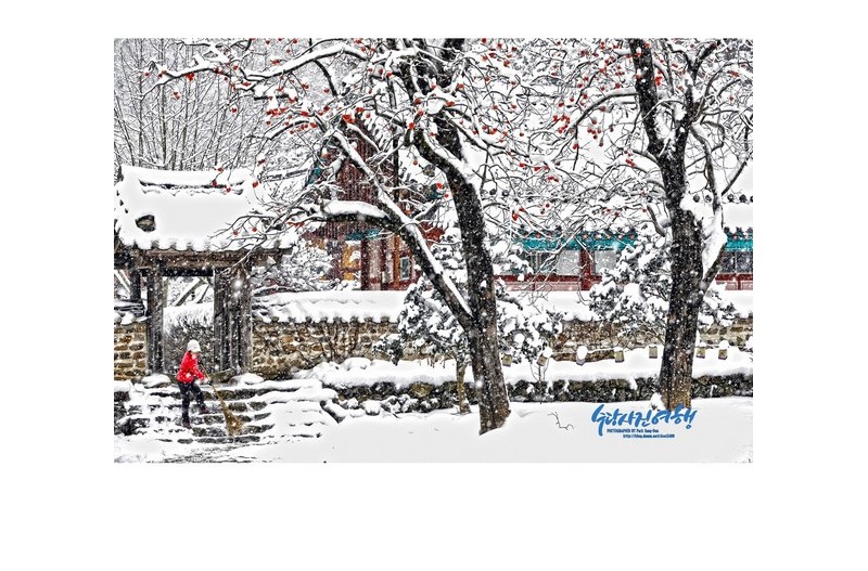 눈이 내리던 날