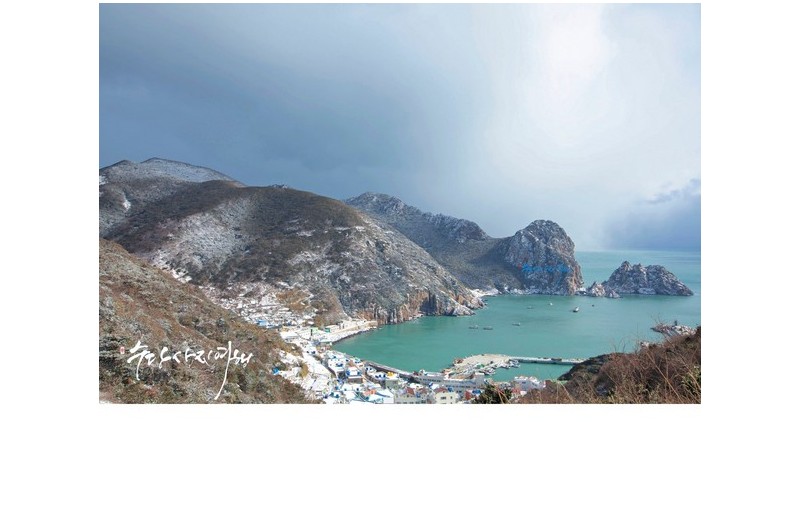 홍도야 울지마라!