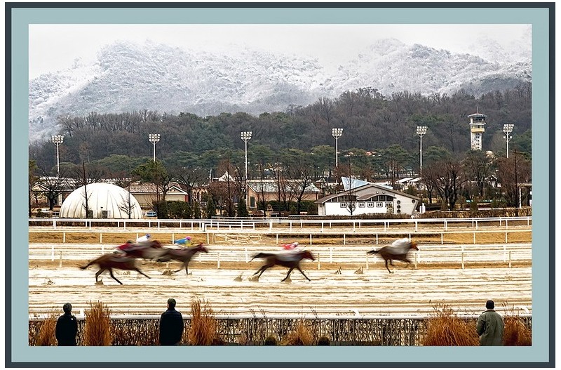 과천 경마장전경