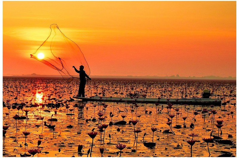 태양을 잡은 어부