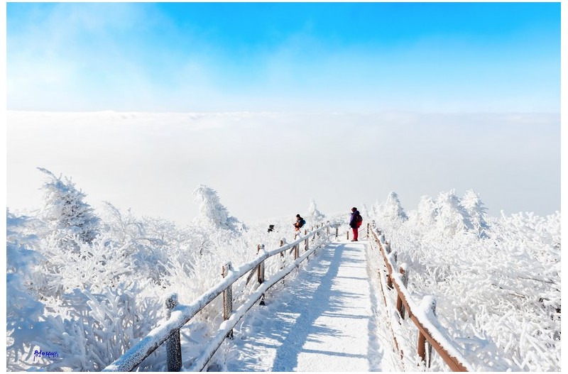 겨울을 즐기는 사람들
