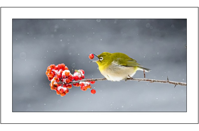 동박이인증샷,,