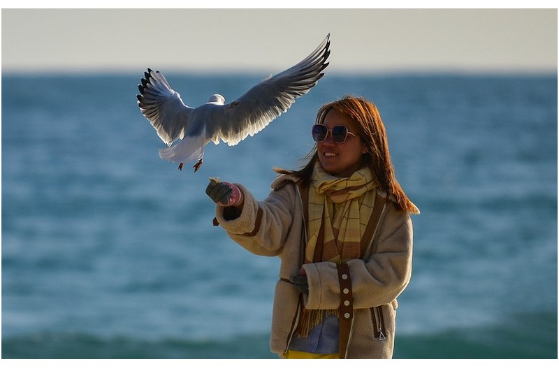 이방인의 망중한