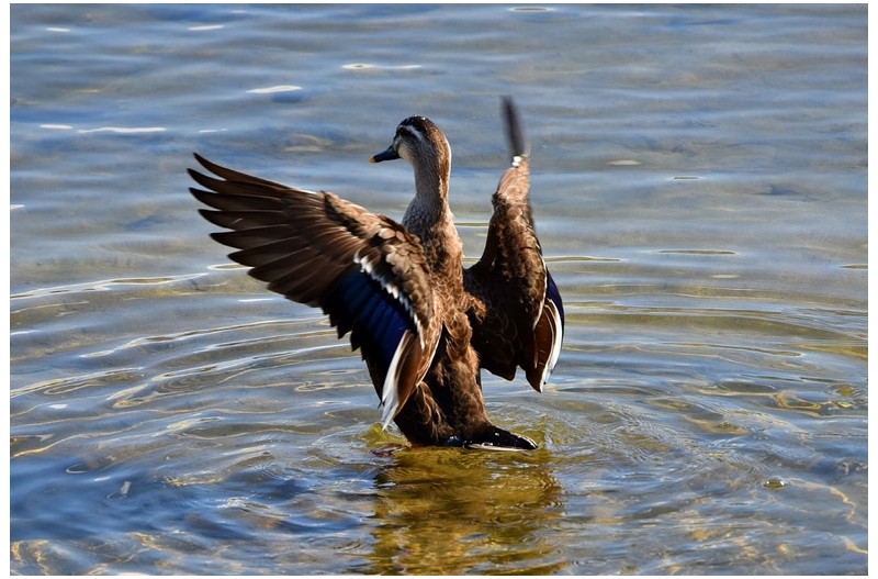 남강변 오후산책
