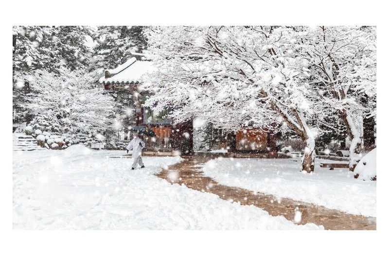 춘설이 내리던 날