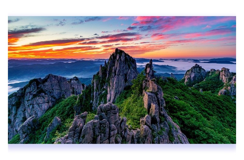 따뜻한 봄 날을 그리며