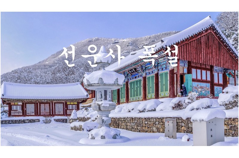 선운사 폭설