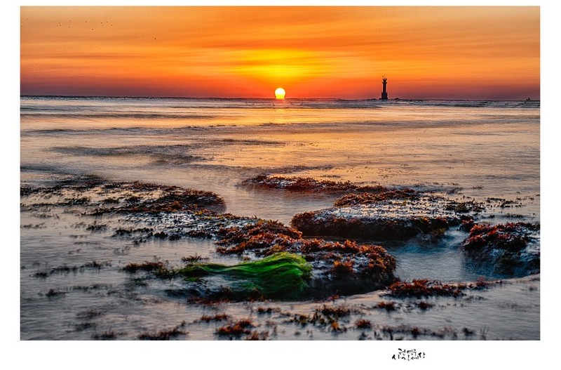 오여사를 오랜만에 만나고 왔습니다