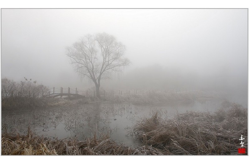 안개가 삼켜버린 습지