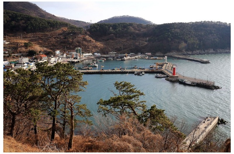 가덕도 대항 항