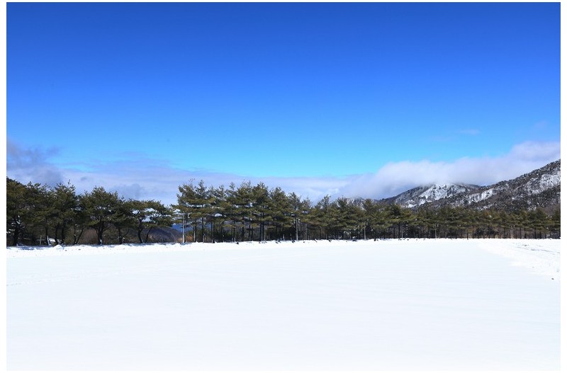 부산에 첫눈 이라 해서
