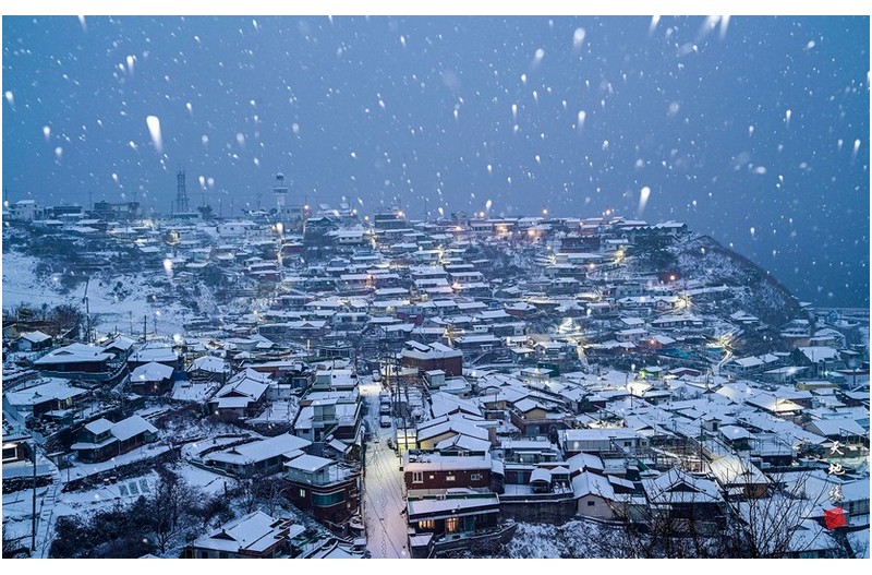 폭설이 내리는 동해