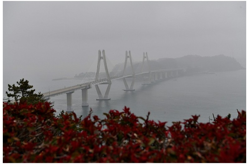 안개자욱한 대교
