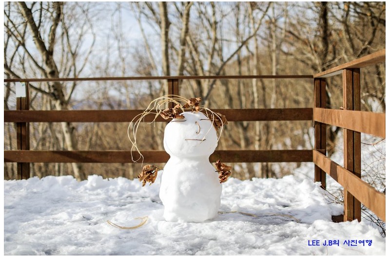 한겨울에 어른 눈사람
