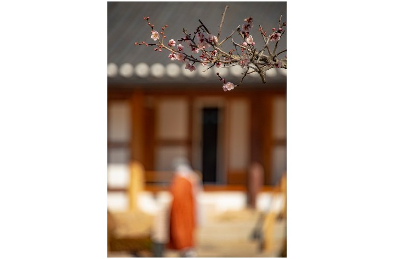 봄을 배웅하며2