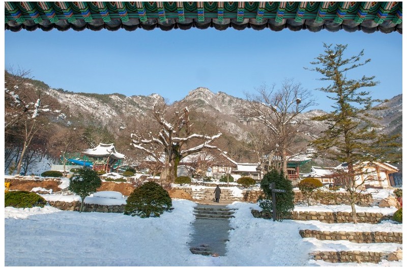 설경 ㅡ 雪景