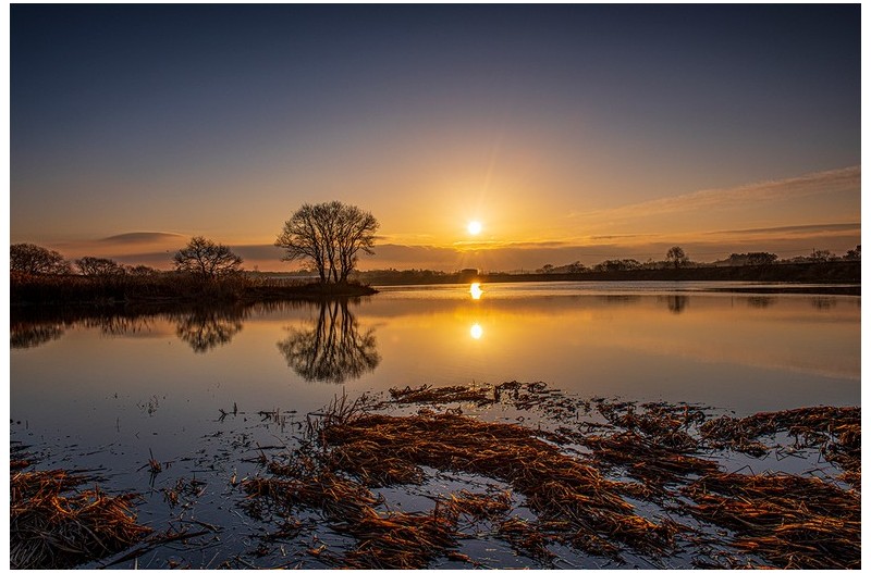 강가에 나무 한그루^^