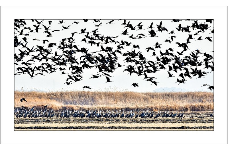 순천만의 오후,,