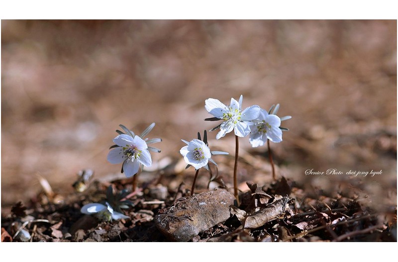 삼동 ㅡㅡㅡㅡㅡㅡㅡㅡㅡㅡ