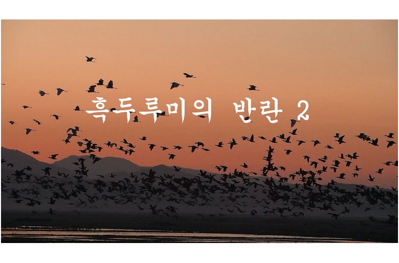 흑두루미의 반란-2