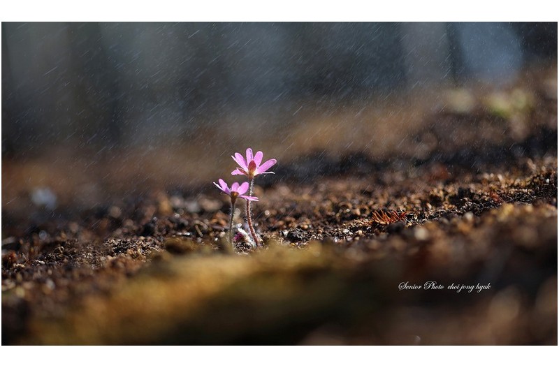 척과   ㅡㅡㅡㅡㅡㅡㅡㅡㅡㅡㅡ