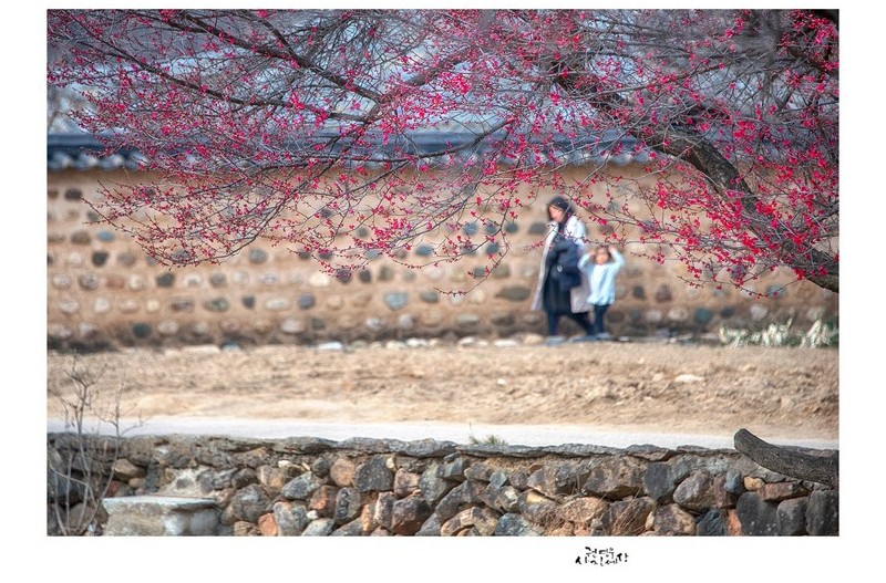 외갓집 가는 길