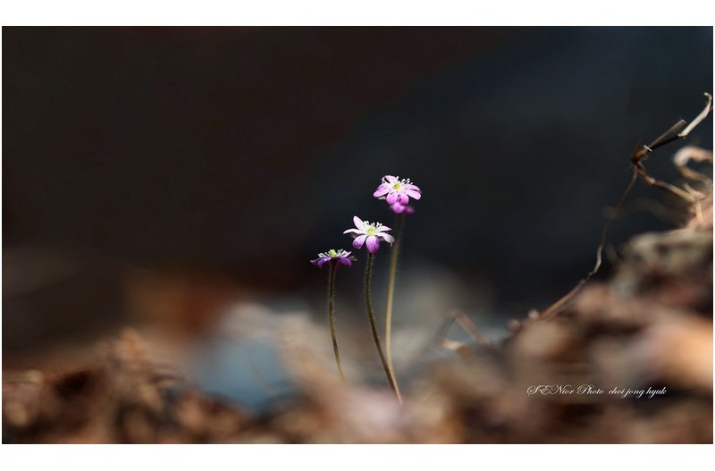 大中小  ㅡㅡㅡㅡㅡㅡㅡㅡㅡㅡㅡㅡ