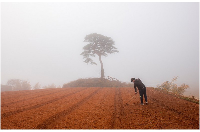 안개가 자욱한날