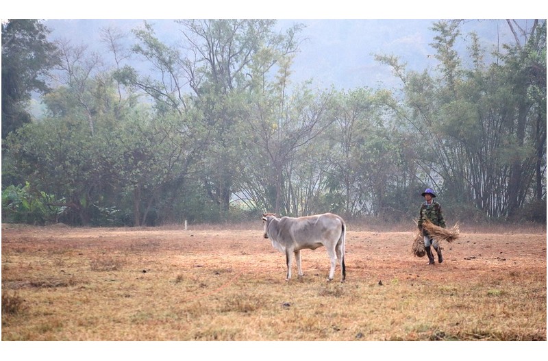 치앙마이 아침 풍경