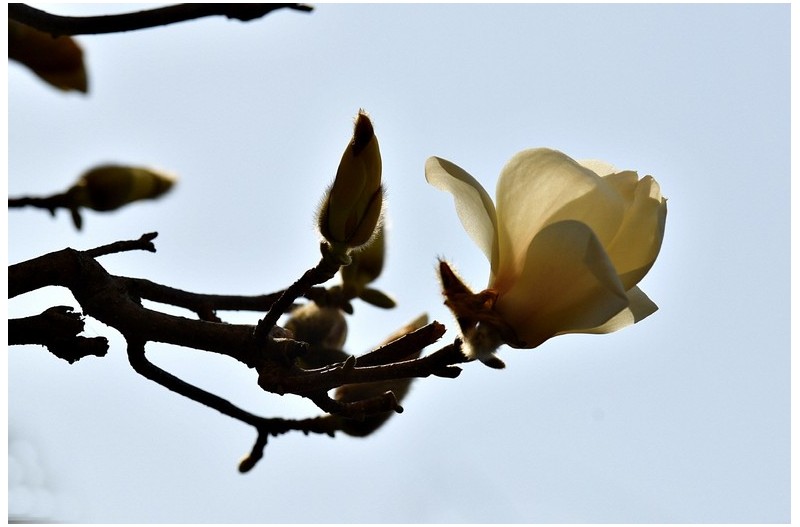 봄 소리 들어며...