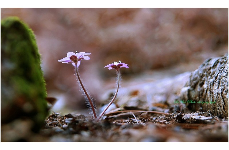 나만 믿어요  ㅡㅡㅡㅡㅡㅡㅡㅡㅡㅡㅡㅡㅡㅡ