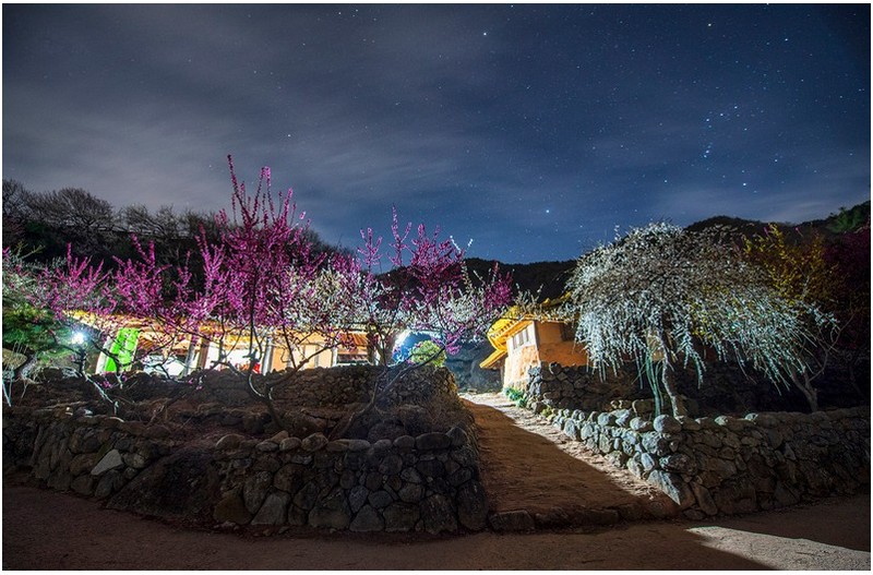 별이 빛나는 밤에