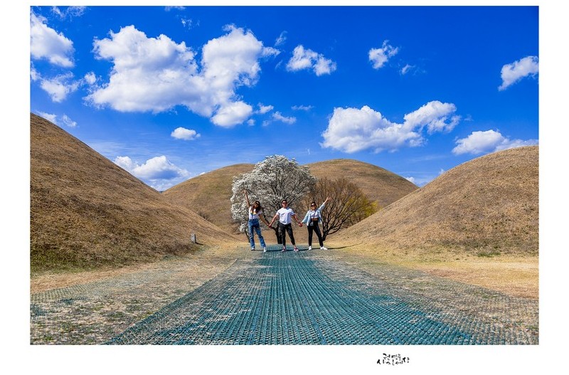 그 길끝에 지키고 선 꽃