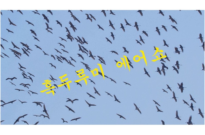 흑두루미 에어쑈