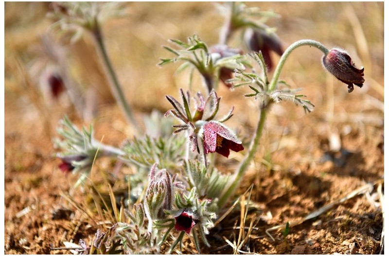 남강변 봄 소리