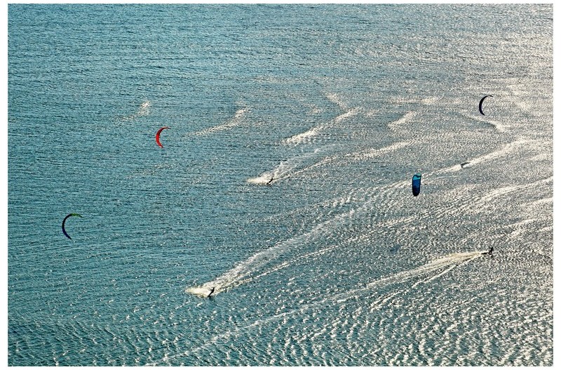 서핑 하는 사람들