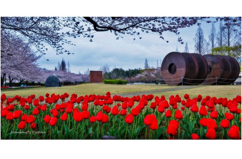 연지 공원의 봄 ----