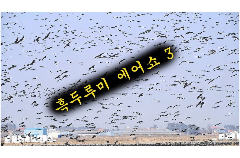 흑두루미 에어쇼-3