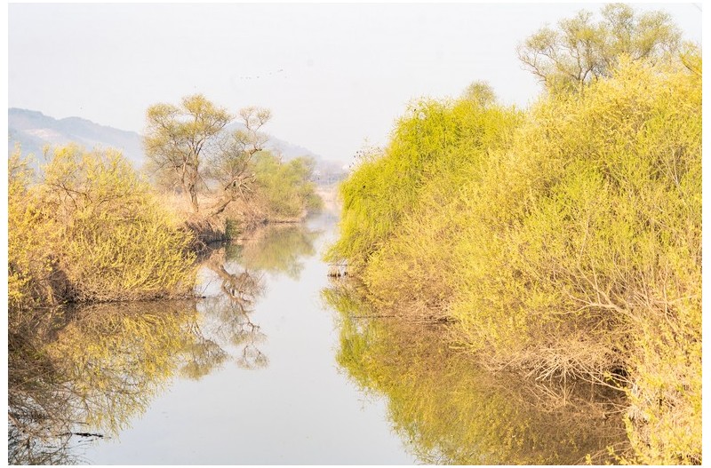 화포천의 봄