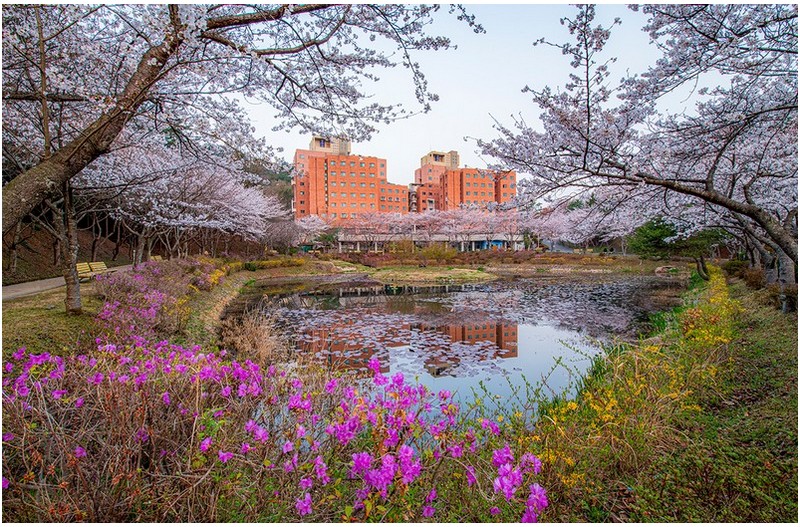 봄에는 꽃이핀다