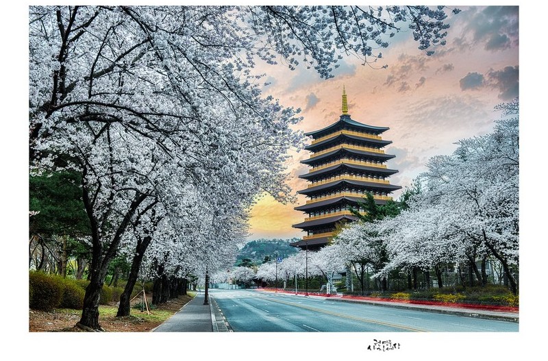 봄이라서 좋은 날