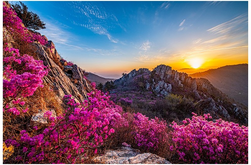 朱雀山...2023.3.29