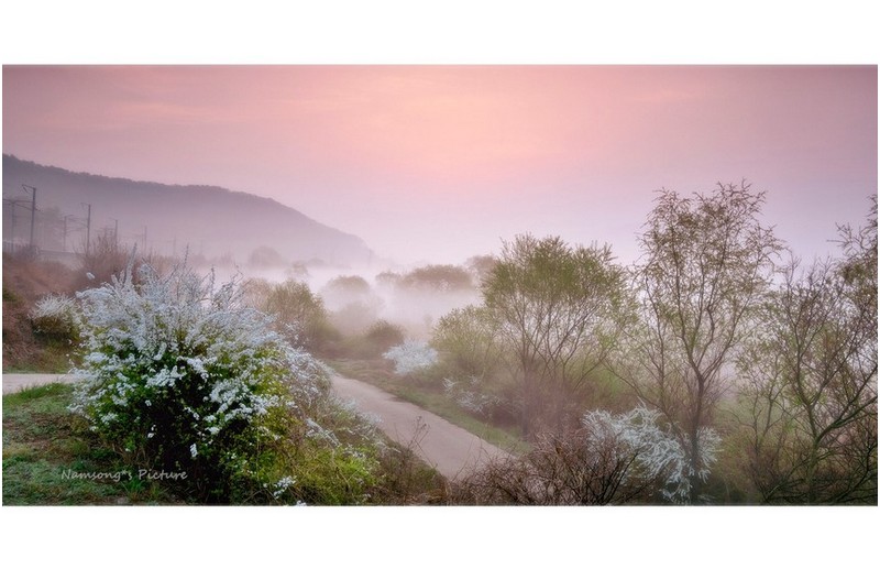 화포천의 아침 ---