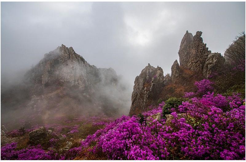 덕룡산...2022.4.12