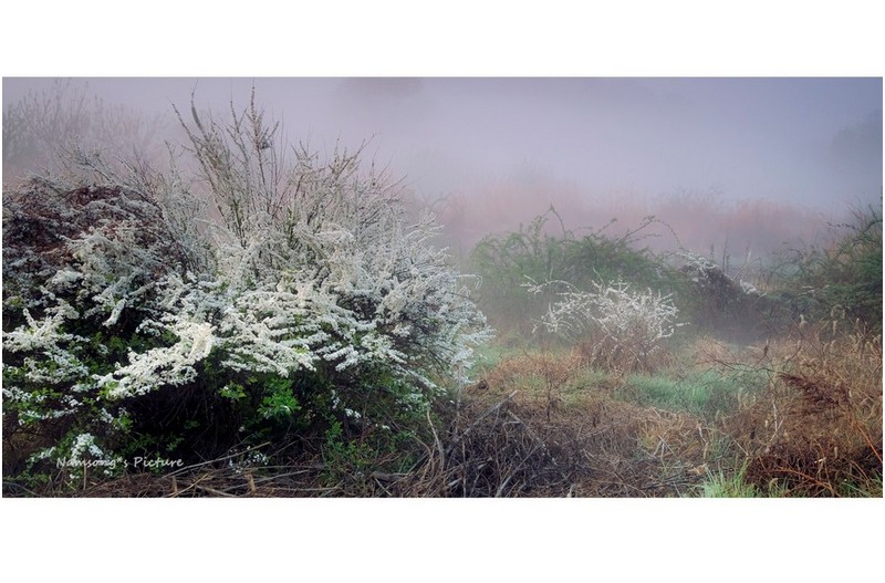 습지의 여행에서 ----