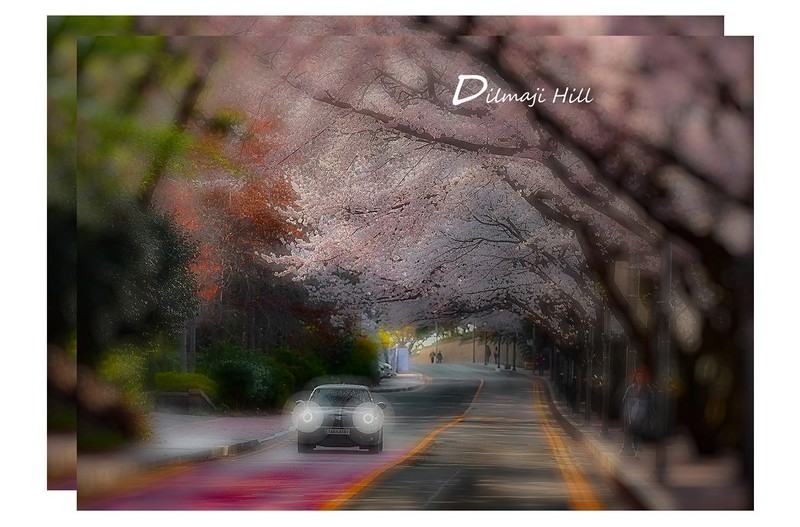 백조님 감사합니다.