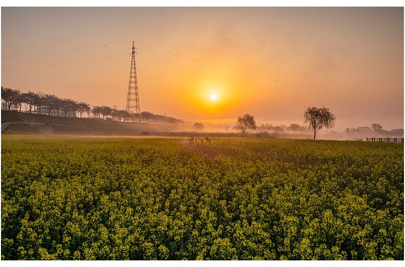 영산강 동섬...2023.3.31