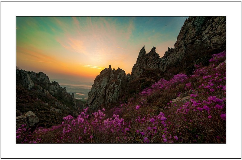 덕룡산의 아침..