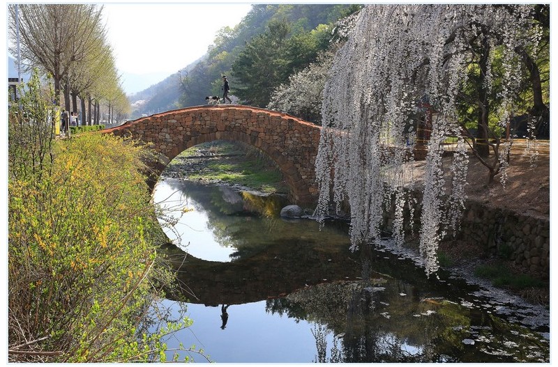 꽃구경 (창녕 영산에서)